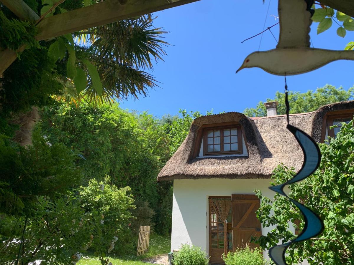 La Flore Marine Saint-Jouin-Bruneval Kültér fotó