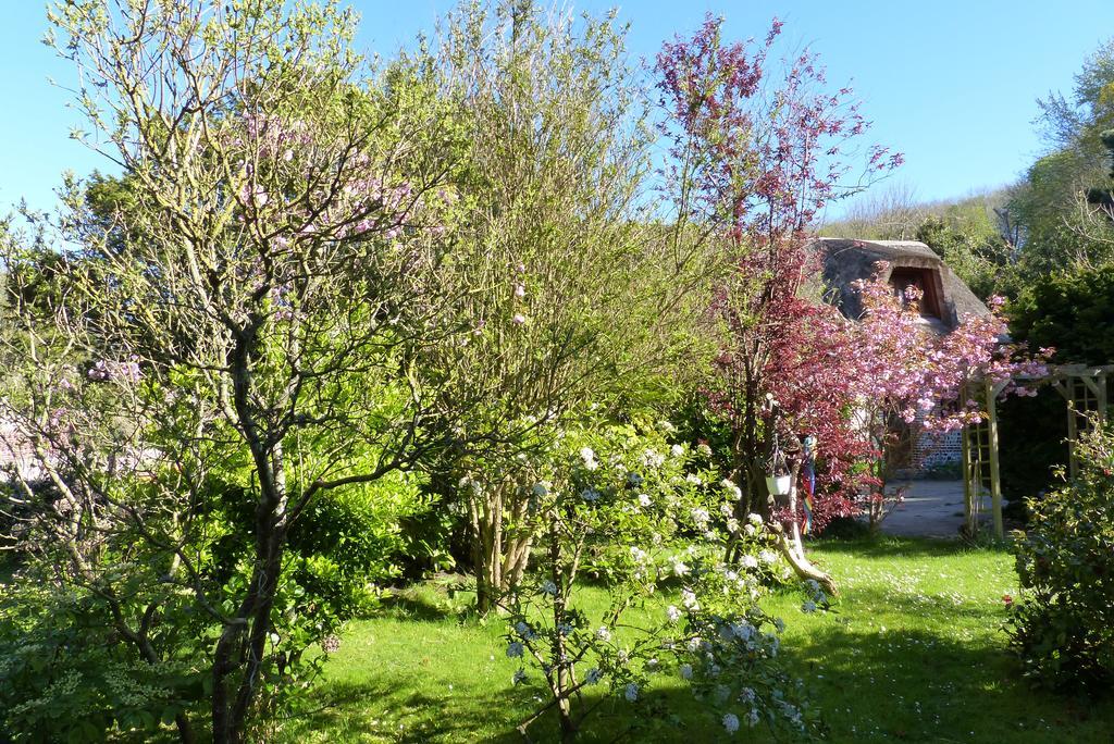 La Flore Marine Saint-Jouin-Bruneval Kültér fotó